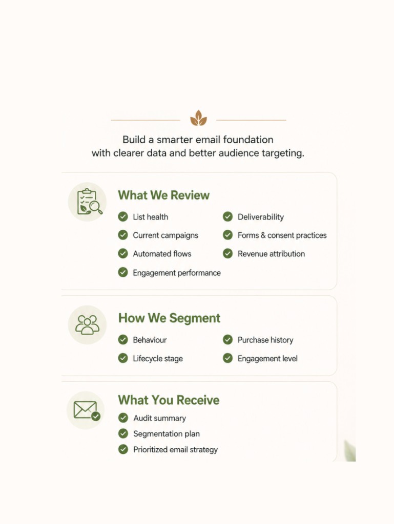 Email marketing audit and segmentation overview covering list health, deliverability, audience segments, and strategy deliverables